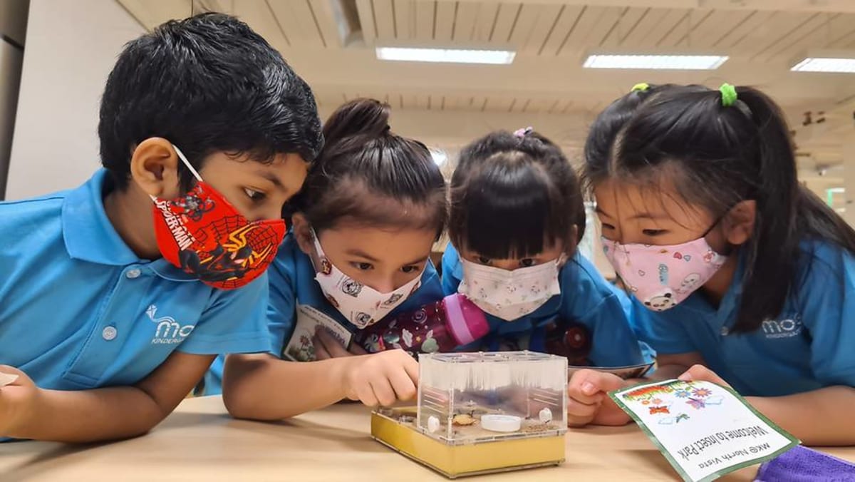 7 new MOE kindergartens to open in 2024 and 2025 CNA