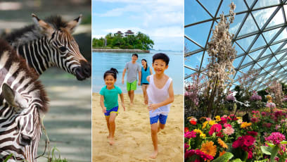 The Best Promos From Malls & Attractions In Singapore Right Now  