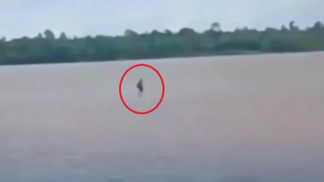 印尼神秘男“水上漂”视频疯传 专家指这几点很可疑