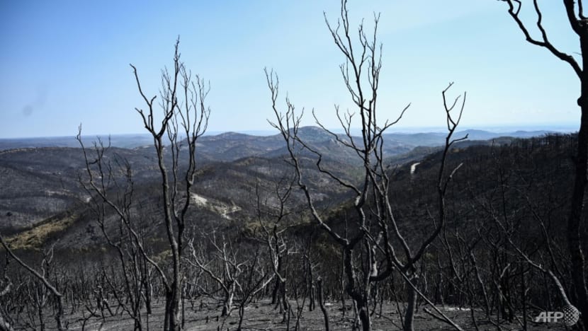 2023 likely to be hottest year on record: EU monitor