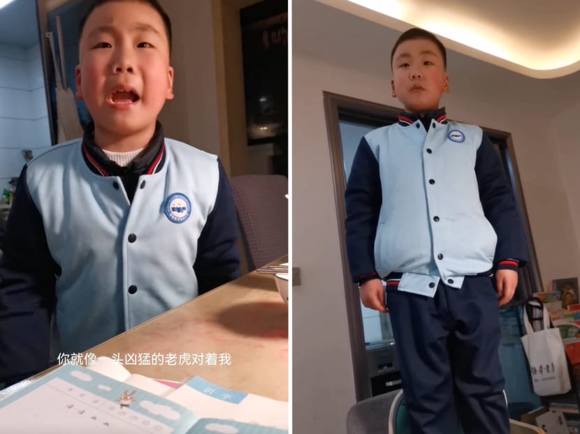 A boy from Yichun, Jiangxi province in China has gone viral on Chinese social media platforms for his eloquent criticism of his mother's "fierce tiger" parenting style.