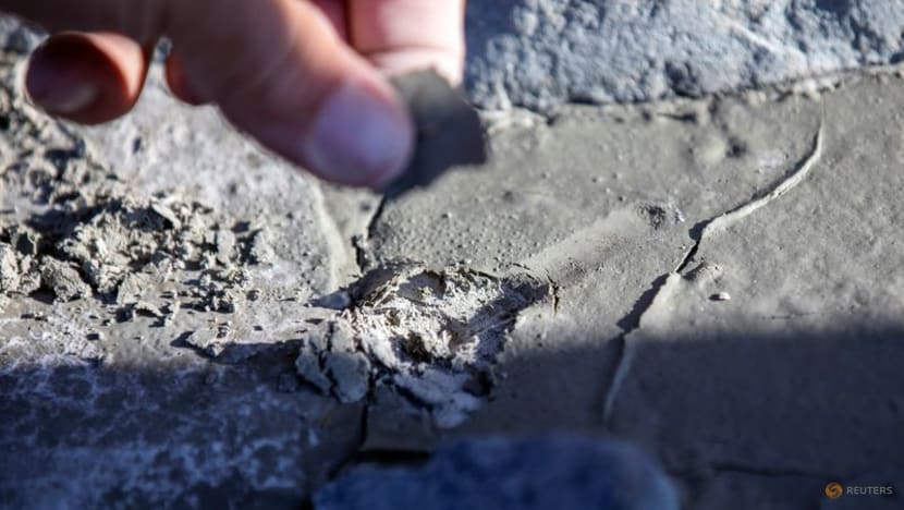 Climate-friendly farming: Greenland's melting glaciers offer an answer Climate-friendly farming: Greenland's melting glaciers offer an answer
