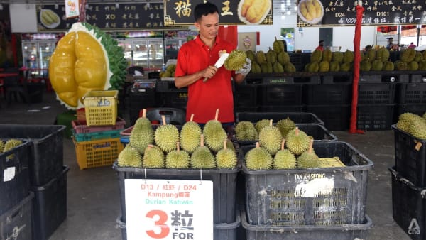 Malaysia farms must adapt to extreme weather, changing taste to compete for slice of China’s durian pie, industry experts say