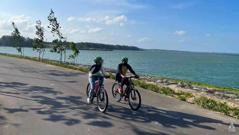Commentary: In green Singapore, most youth don't spend much time in nature Commentary: In green Singapore, most youth don't spend much time in nature