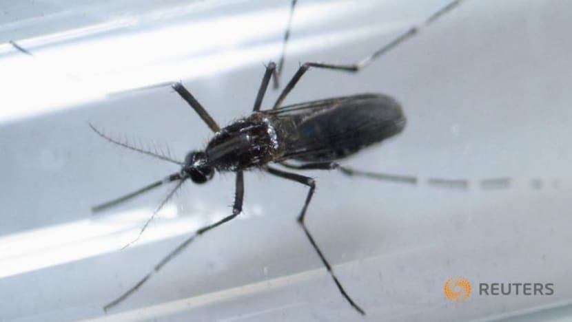 Lebih 200 kes Zika dilapor di Thailand