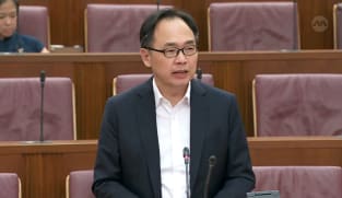 Liang Eng Hwa on Singapore’s COVID-19 response