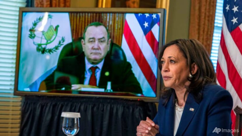 US VP Harris meets virtually with Guatemalan president 