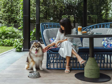 Need a getaway with your furry companion? More hotels are offering pet-friendly staycation options in Singapore 