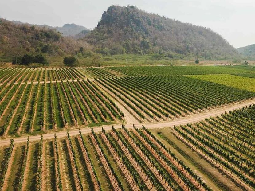 Adapting to climate change: How Thailand’s tropical wines are teaching the old world new tricks Adapting to climate change: How Thailand’s tropical wines are teaching the old world new tricks
