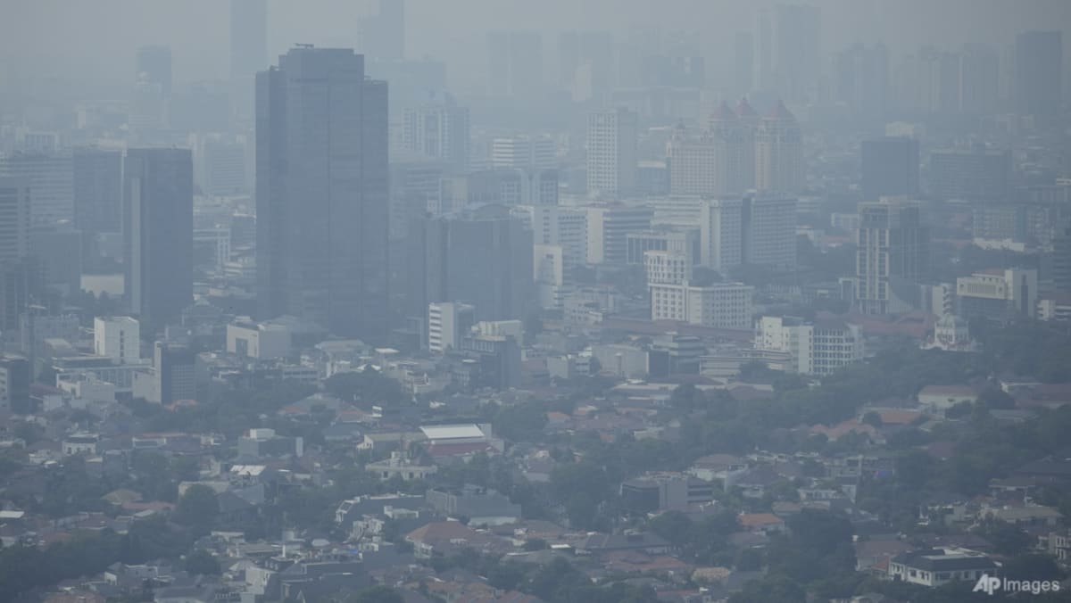 Jokowi calls for air pollution measures in Jakarta as locals complain of respiratory issues Jokowi calls for air pollution measures in Jakarta as locals complain of respiratory issues