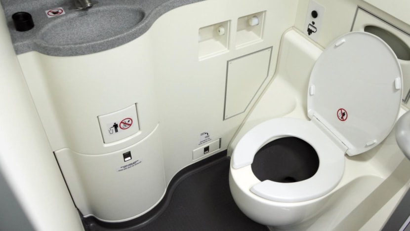Irresponsible or necessary? Viral video of passengers locking up crying toddler in airplane toilet sparks debate in China