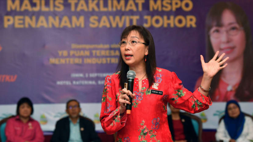 Minister concerned over allegations of burning on land linked to 'respected' Malaysian companies Minister concerned over allegations of burning on land linked to 'respected' Malaysian companies