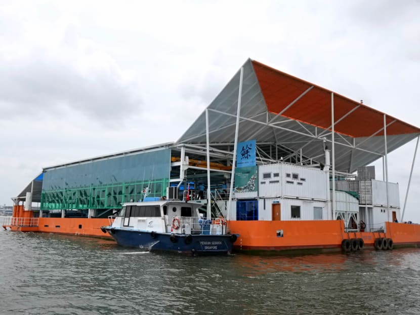 Eco-Ark, where fishes are reared in a more controlled environment, is a floating farm situated 5km away from Changi Point Ferry Terminal. Eco-Ark, where fishes are reared in a more controlled environment, is a floating farm situated 5km away from Changi Point Ferry Terminal.