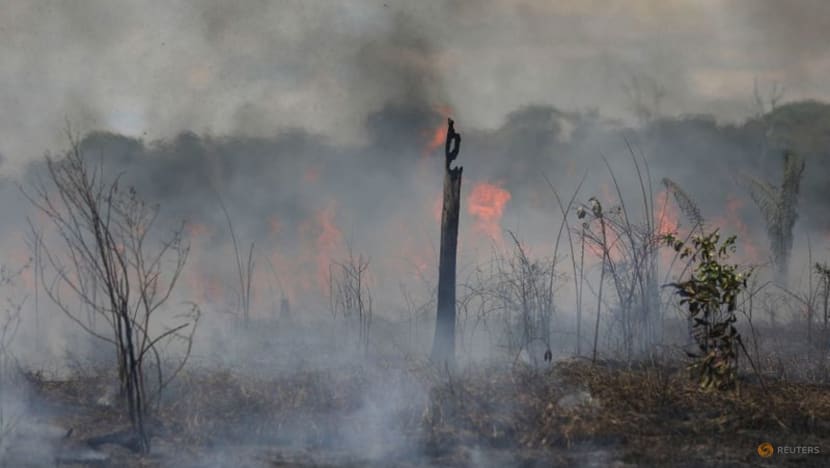 Amazon fires surge anew in Brazil as cleared forest burns Amazon fires surge anew in Brazil as cleared forest burns