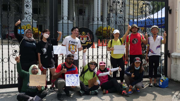 Environmental activists travel 235km on foot to highlight dwindling Malayan tiger numbers