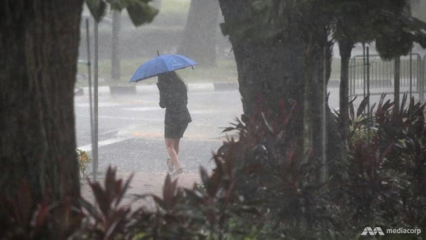 With climate change making weather more extreme, people need to adjust plans according to forecasts: Grace Fu With climate change making weather more extreme, people need to adjust plans according to forecasts: Grace Fu