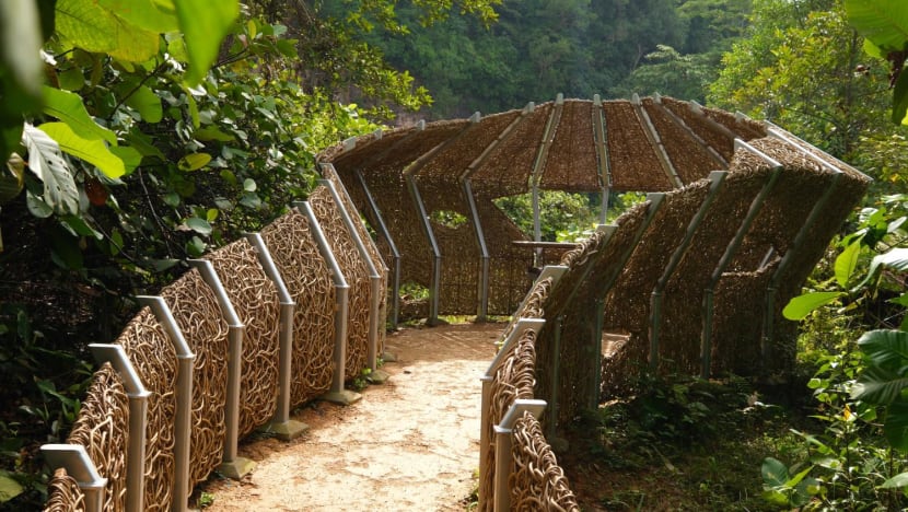 Revamped Rifle Range Nature Park opens with 7km trails, 31m lookout point and quarry wetland - CNA