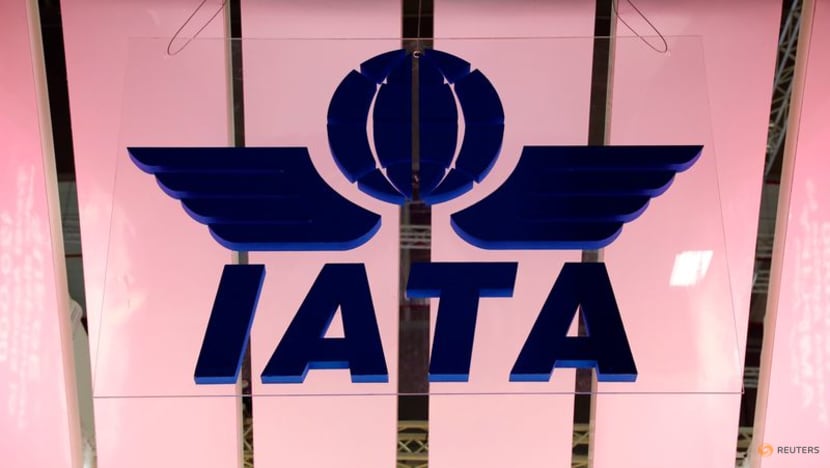 Airlines accelerate climate pledge despite Chinese opposition Airlines accelerate climate pledge despite Chinese opposition