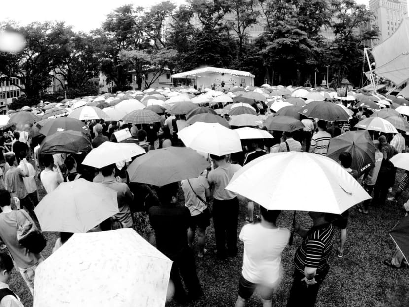 A protest at Hong Lim Park. Activism is a worldwide phenomenon and has increased as a result of social media and a more vocal middle class. Senior civil servants, not only politicians, must learn to appreciate groundswell management of policies and proactively engage activists. Photo: Ernest Chua