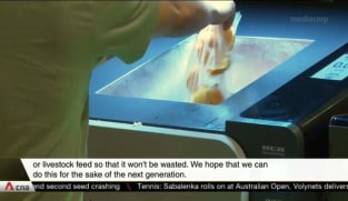 Hong Kong seeks solutions for food waste disposal | Video
