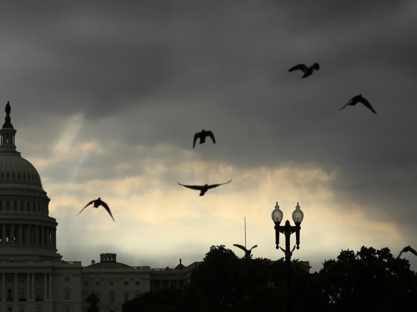 Birds fly past the US Capitol as the sun rises in Washington. (REUTERS/Kevin Lamarque)