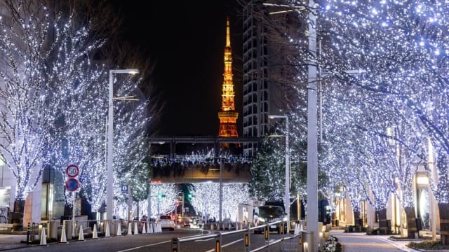 冬季最浪漫！东京2022超梦幻圣诞点灯等你来打卡