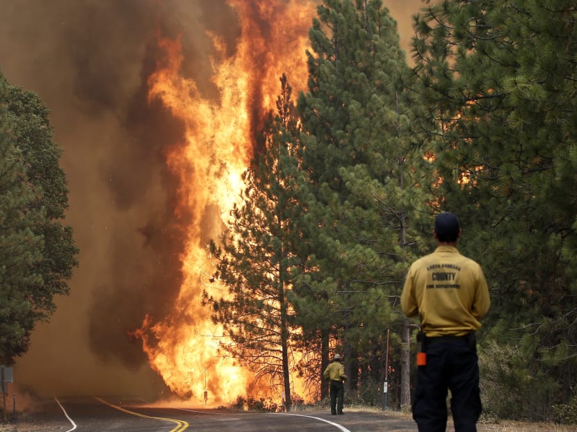 California wildfire grows to record size, nearly as big as Singapore
