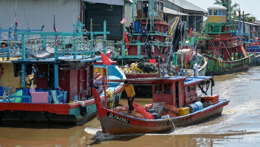 中央社通讯员播客：马来西亚渔业面临捕捞量下降的严峻未来