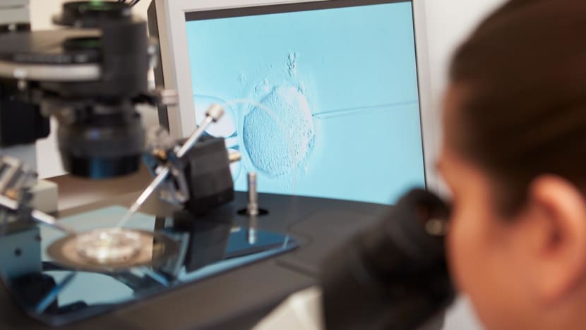 240215 embryo adobe stock