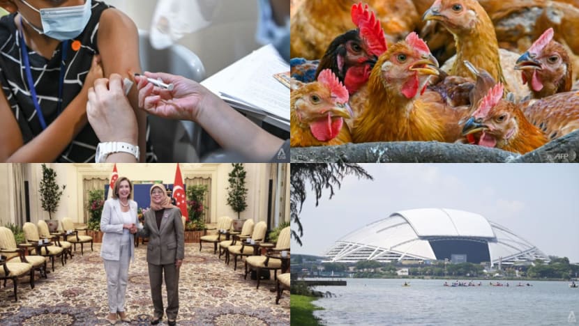 Daily round-up, Aug 1: 60% of Singapore residents have had COVID-19; vaccination boosters for children; Malaysia's chicken supply stabilises Daily round-up, Aug 1: 60% of Singapore residents have had COVID-19; vaccination boosters for children; Malaysia's chicken supply stabilises