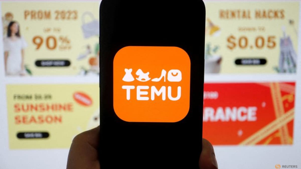 Low-cost e-commerce player Temu files new lawsuit against rival Shein