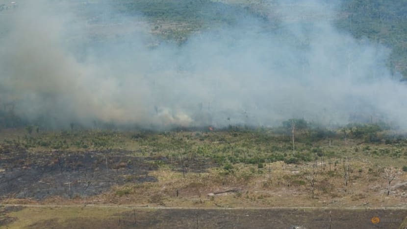 EU proposes law curbing import of goods linked to deforestation EU proposes law curbing import of goods linked to deforestation