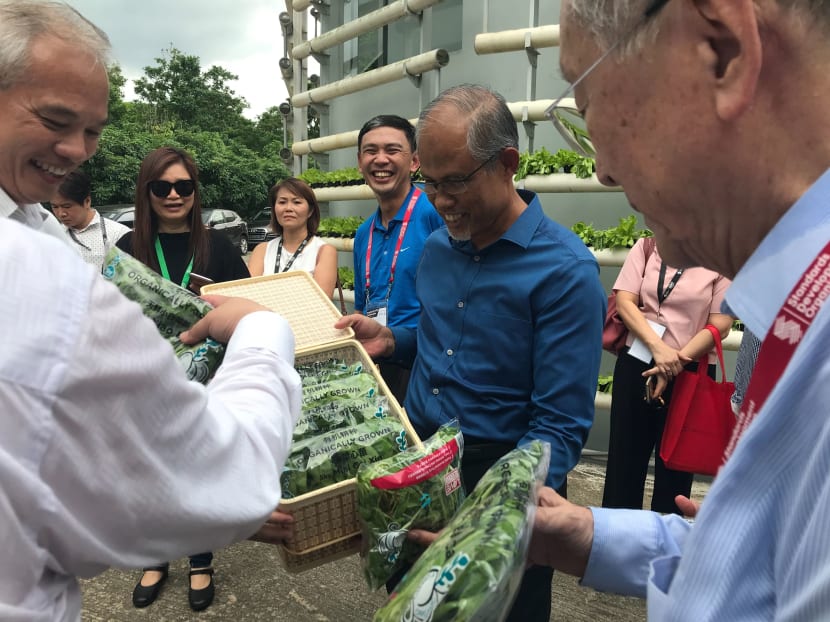 The development of the national standard for green and sustainable farming practices is a step closer to Singapore’s “30 by 30” vision of producing 30 per cent of the nation’s nutritional needs locally by 2030, unveiled by the Ministry of Environment and Water Resources in March. The development of the national standard for green and sustainable farming practices is a step closer to Singapore’s “30 by 30” vision of producing 30 per cent of the nation’s nutritional needs locally by 2030, unveiled by the Ministry of Environment and Water Resources in March.