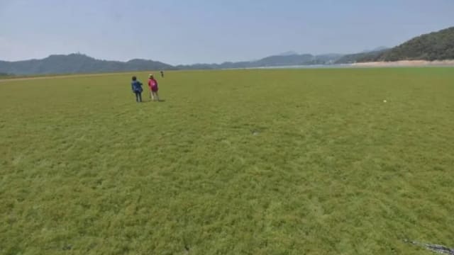 台湾旱灾持续 日月潭变身大草原