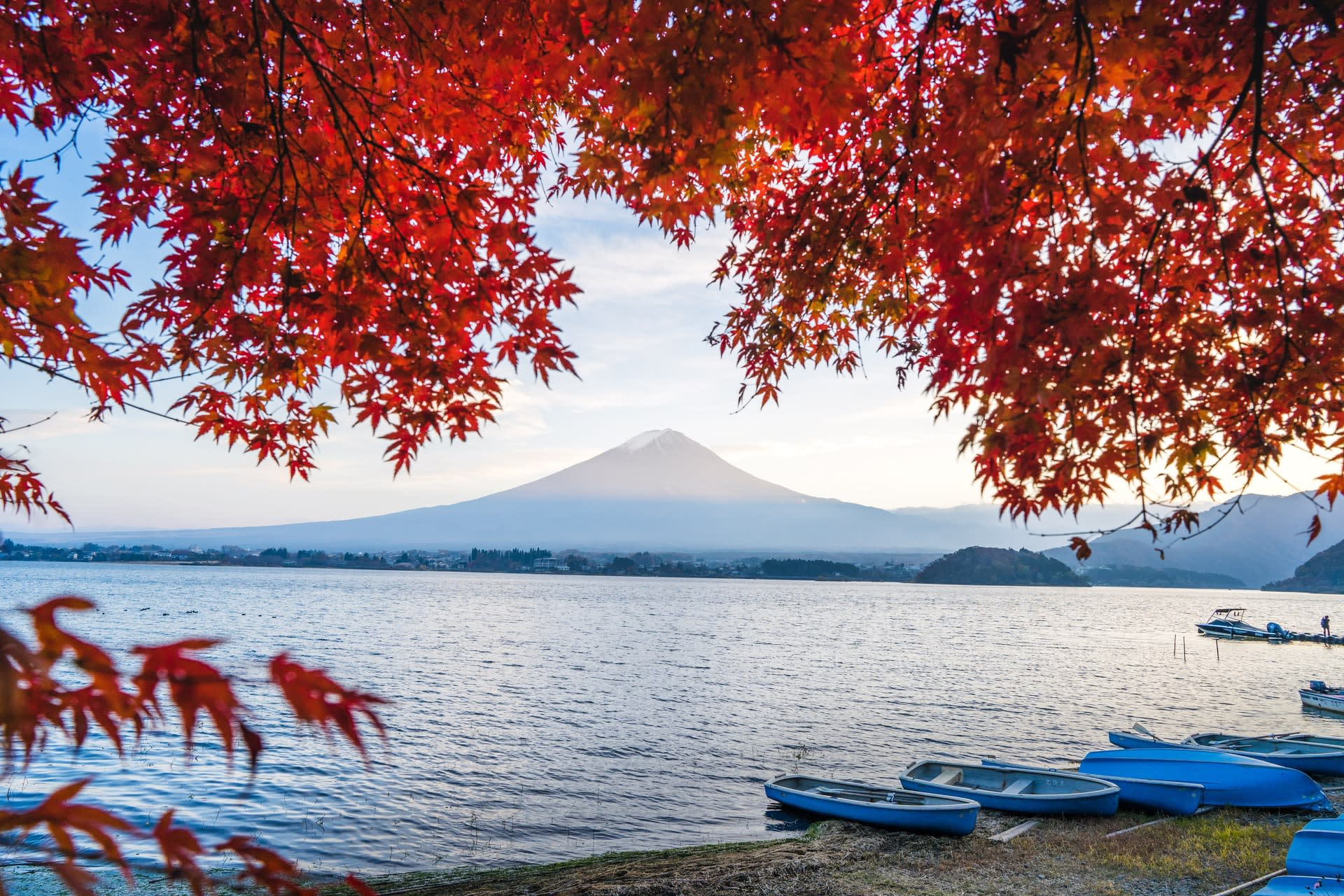 The resumption of inbound tourism will provide welcome relief for Japan's battered hospitality sector, though some remain concerned about a possible resurgence of the pandemic as Covid-19 curbs are eased.