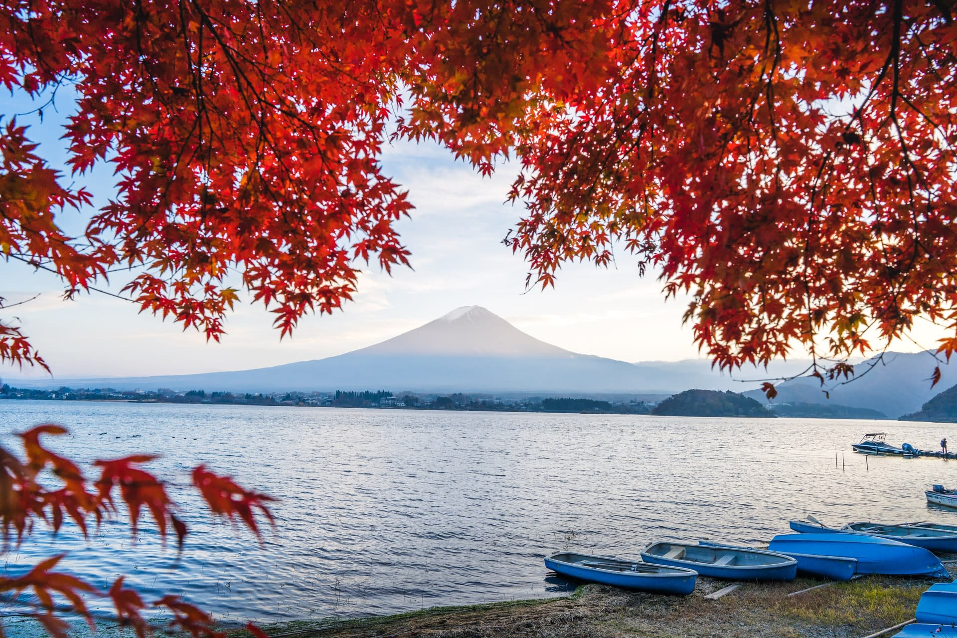 The resumption of inbound tourism will provide welcome relief for Japan's battered hospitality sector, though some remain concerned about a possible resurgence of the pandemic as Covid-19 curbs are eased. The resumption of inbound tourism will provide welcome relief for Japan's battered hospitality sector, though some remain concerned about a possible resurgence of the pandemic as Covid-19 curbs are eased.