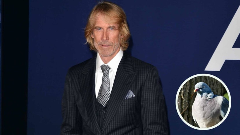 Michael Bay Charged With Killing A Pigeon On The Set Of 2019 Netflix Movie 6 Underground While Filming In Italy