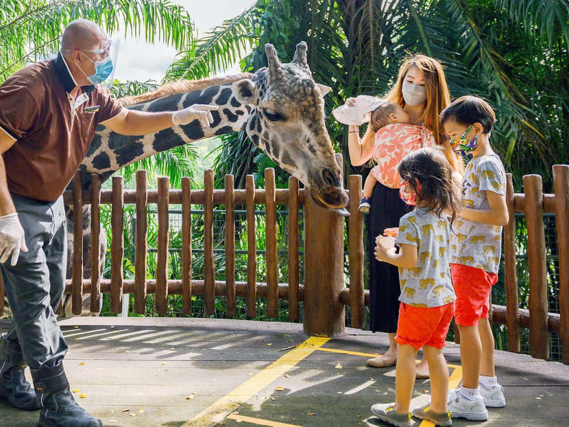 top places,visit,Singapore,2024