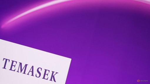 Temasek unit raises US$3.3 billion in flagship fund investing in China 