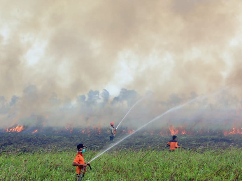 In this Sept 5, 2015, file photo, firemen spray water to contain burning wildfire in Ogan Ilir, South Sumatra, Indonesia. Photo: AFP