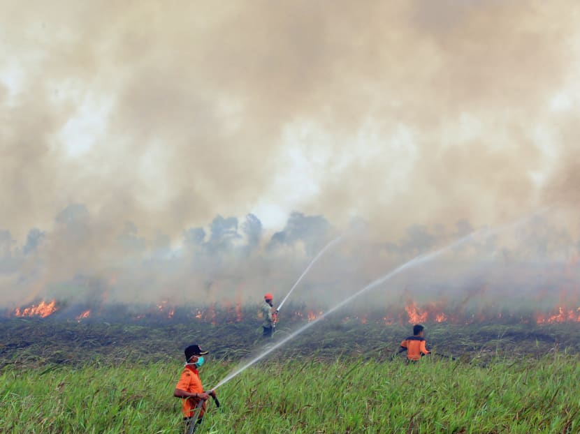 Indonesia agency pushes plan to tackle deforestation, fires Indonesia agency pushes plan to tackle deforestation, fires