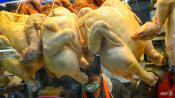 E. coli in chicken rice? Stalls are subject to more stringent checks, says SFA