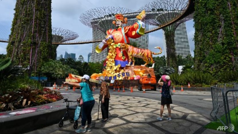Stay home for Chinese New Year if you're feeling unwell, COVID-19 task force co-chairs advise Stay home for Chinese New Year if you're feeling unwell, COVID-19 task force co-chairs advise