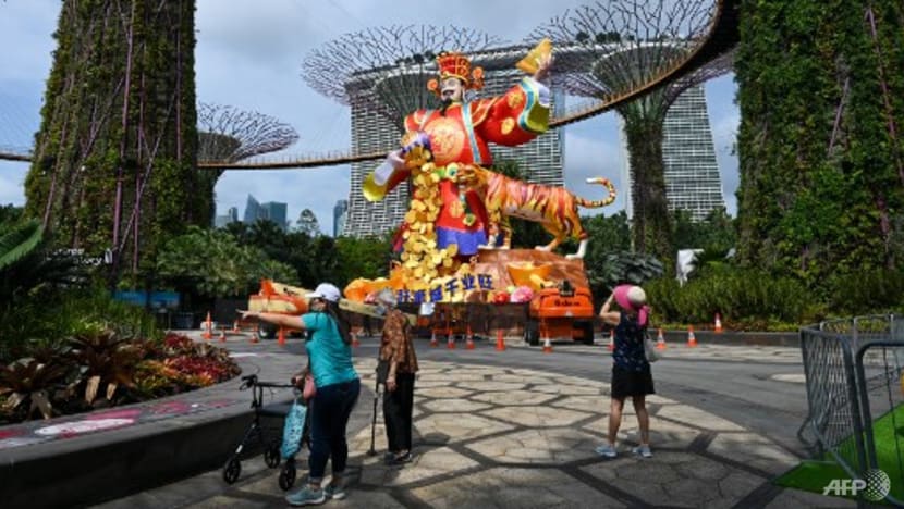 Stay home for Chinese New Year if you're feeling unwell, COVID-19 task force co-chairs advise