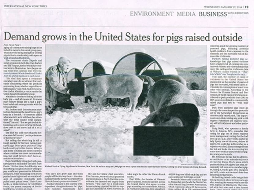 Netizens mock censored faces of pigs in M'sia edition of NY Times