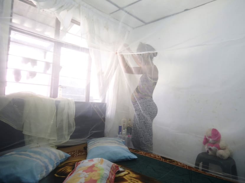 Maribel Gomez, 21, installs a mosquito net over her bed in Cali, Colombia, February 17, 2016. Photo: Reuters