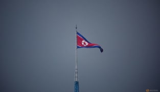 Up to 600 North Korean defectors deported by China 'vanish': Rights group