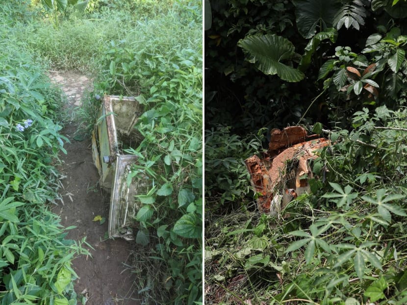 (Left) A photo of a discarded fridge at Clementi Forest taken by Mr Semenov Pavel Dmitrievic on March 13, 2022. (Right) The discarded fridge seen a few metres from its original location on April 21, 2023.