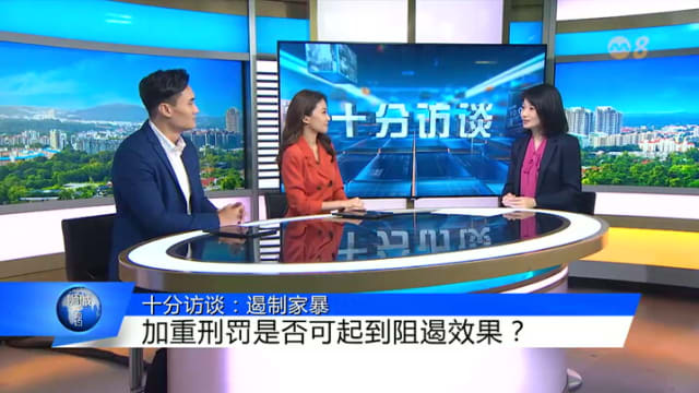狮城有约 | 十分访谈：如何遏制家暴？