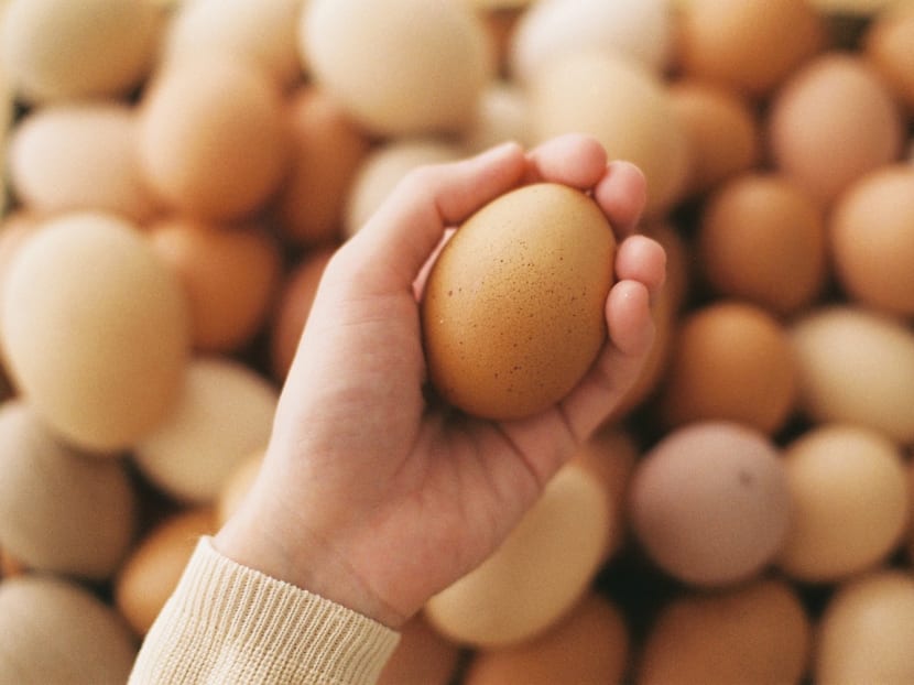Singapore’s insatiable appetite for egg dishes Singapore’s insatiable appetite for egg dishes